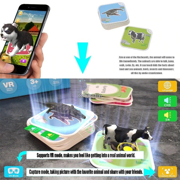 4D Educational Playing Cards