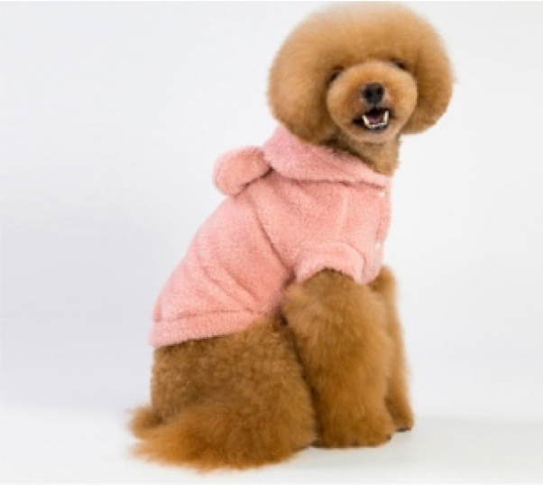 Warming Dog Hoodie