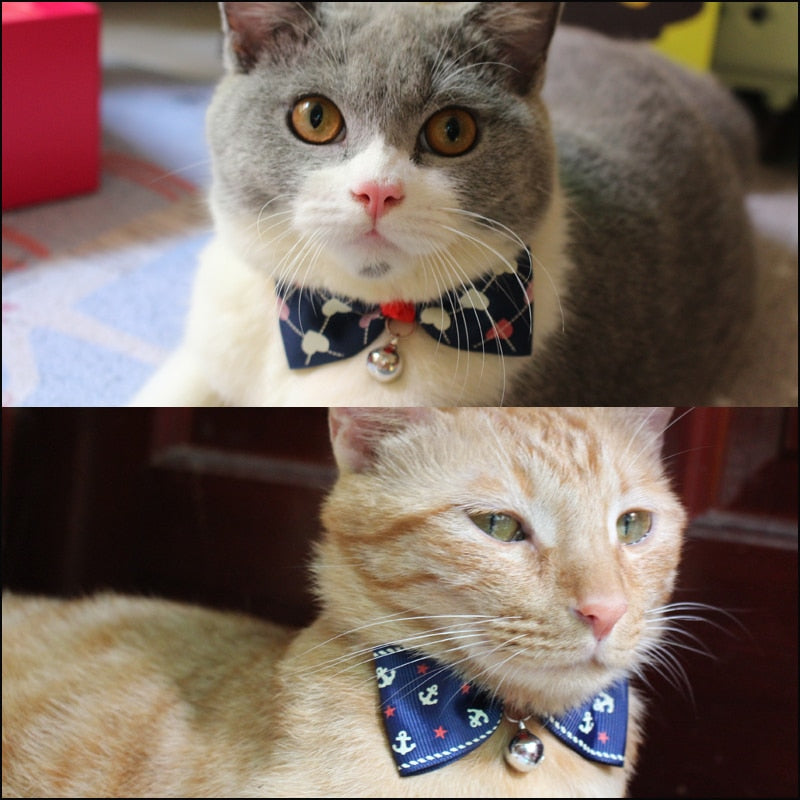 Pet Bow Tie{VIP Gift}