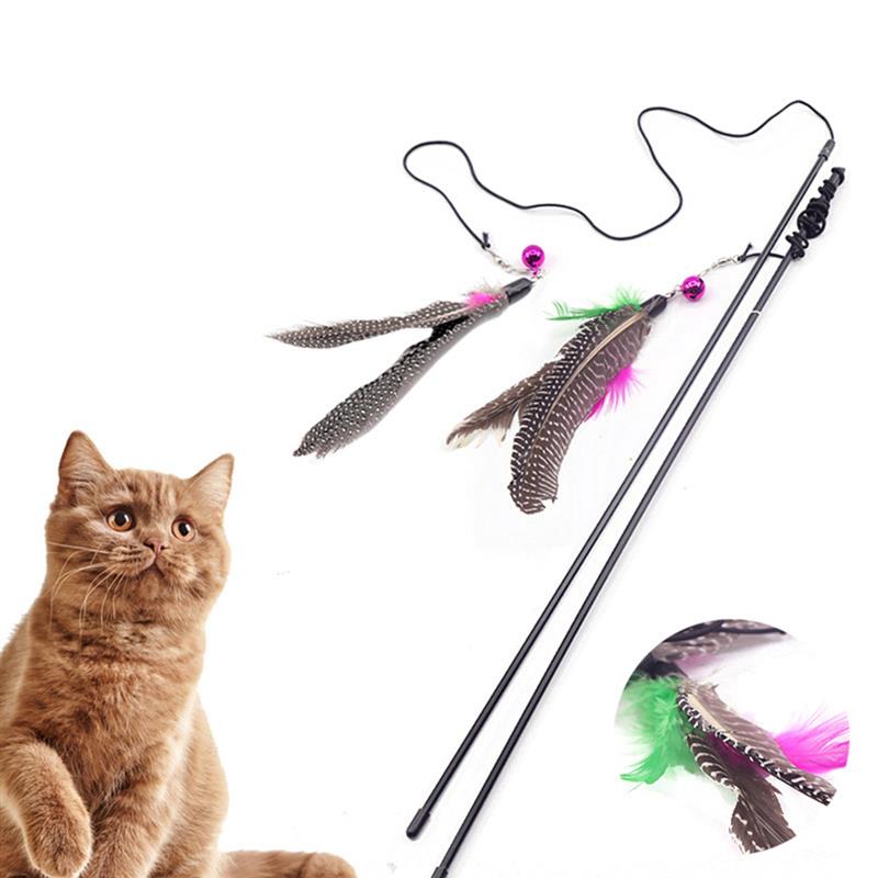 Cat Interactive Toy - ChoiceBird