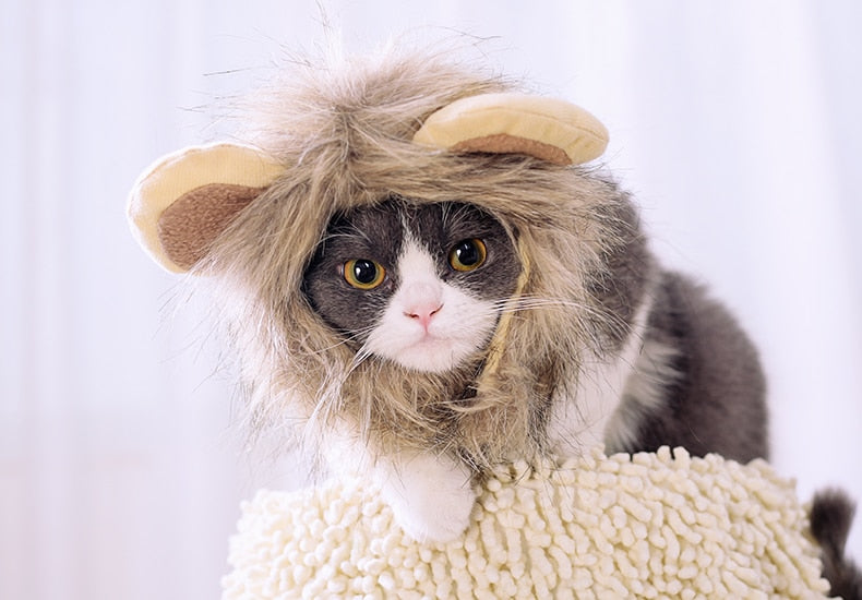 Special Lion Mane Cat Cap - ChoiceBird