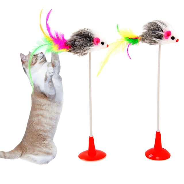 Cat Interactive Toy - ChoiceBird