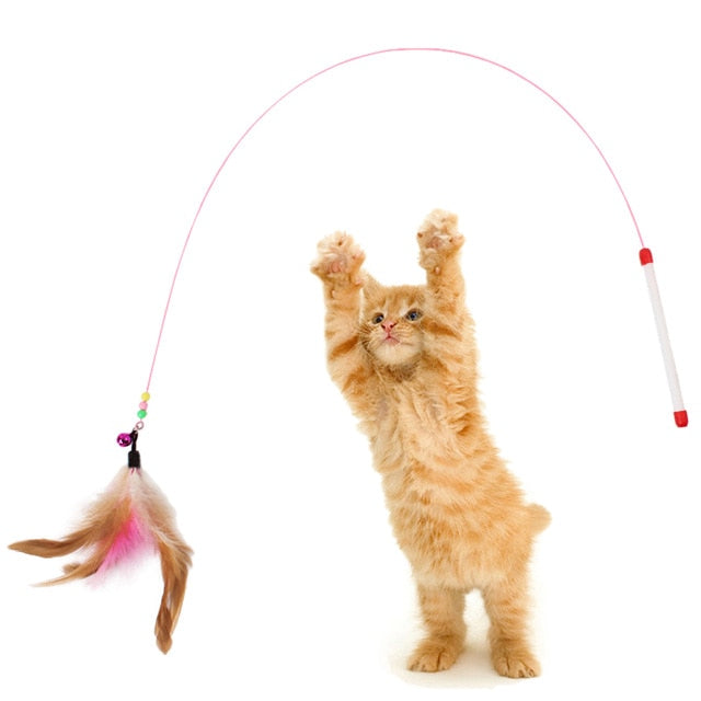 Cat Interactive Toy - ChoiceBird