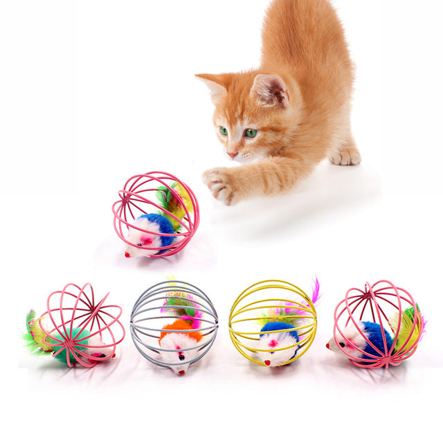 Cat Interactive Toy - ChoiceBird