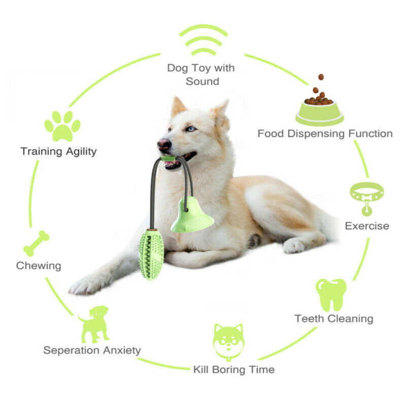 Pet Molar Bite Chew Rubber Dog Toy