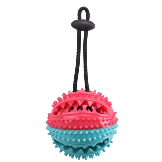 Pet Molar Bite Chew Rubber Dog Toy