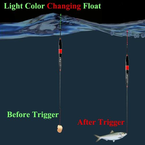 Smart Fishing Float
