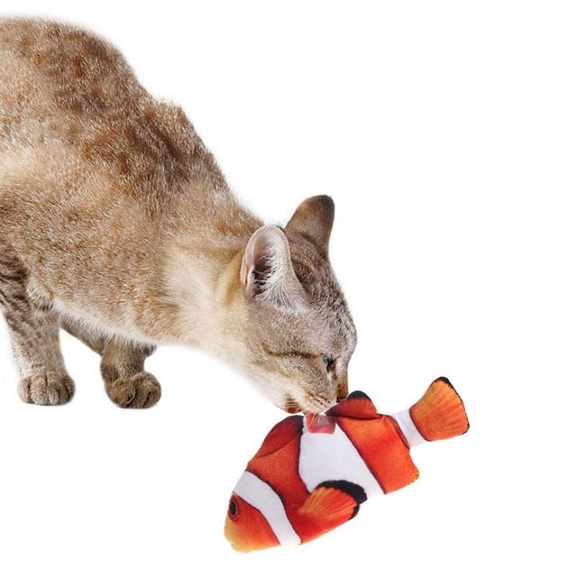 3D Fish For Cat{VIP Gift}