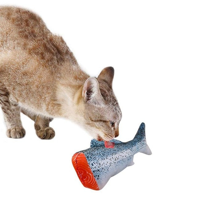 3D Cats Fish For Cat