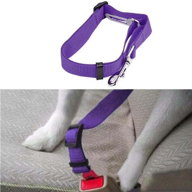 Dog Harness for Car Seat Belt Mascotas