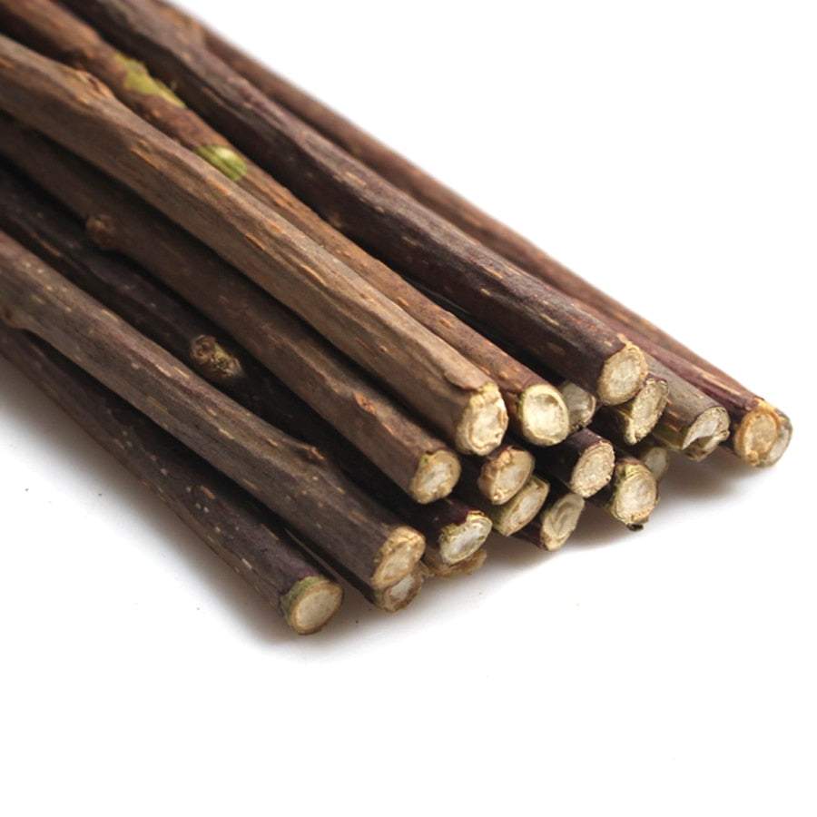 Natural Catnip Pet Cat Molar Toothpaste Stick - ChoiceBird