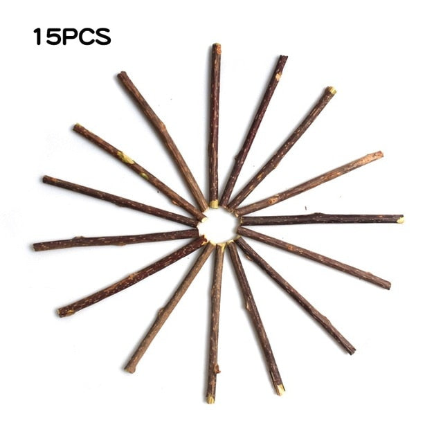 Natural Catnip Pet Cat Molar Toothpaste Stick - ChoiceBird