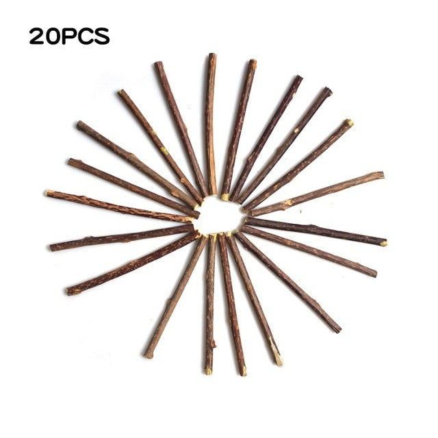 Natural Catnip Pet Cat Molar Toothpaste Stick - ChoiceBird