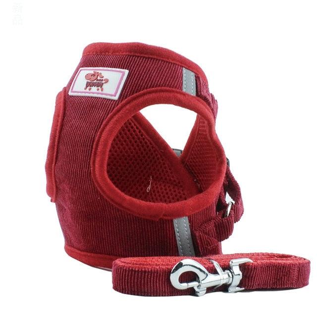 Breathable Dog Harness Collar - ChoiceBird