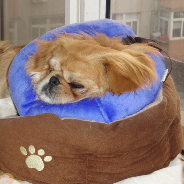 Inflatable Dog Collar Cone