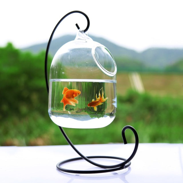 Hangable Glass Aquarium