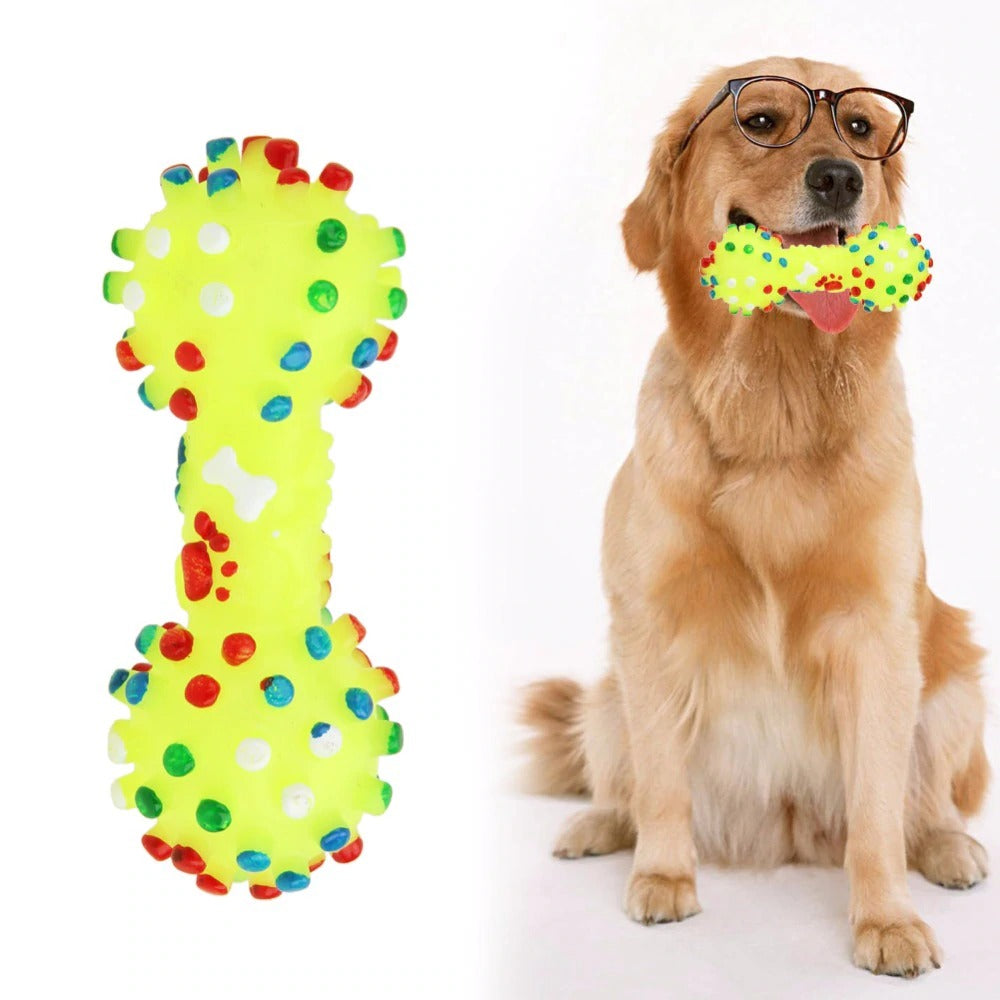 Colorful Squeaky Dog Toy