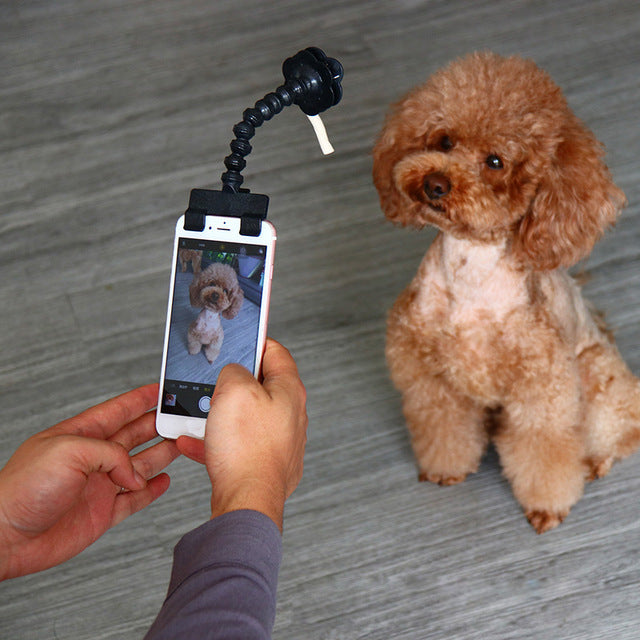 Pet Selfie Phone Clip