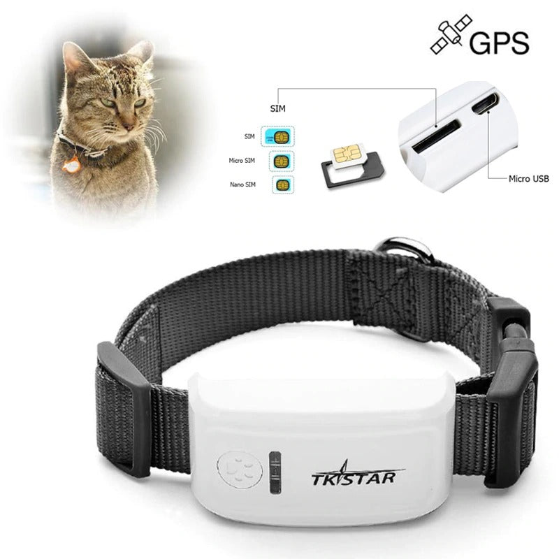 Real-time Tracking Collar