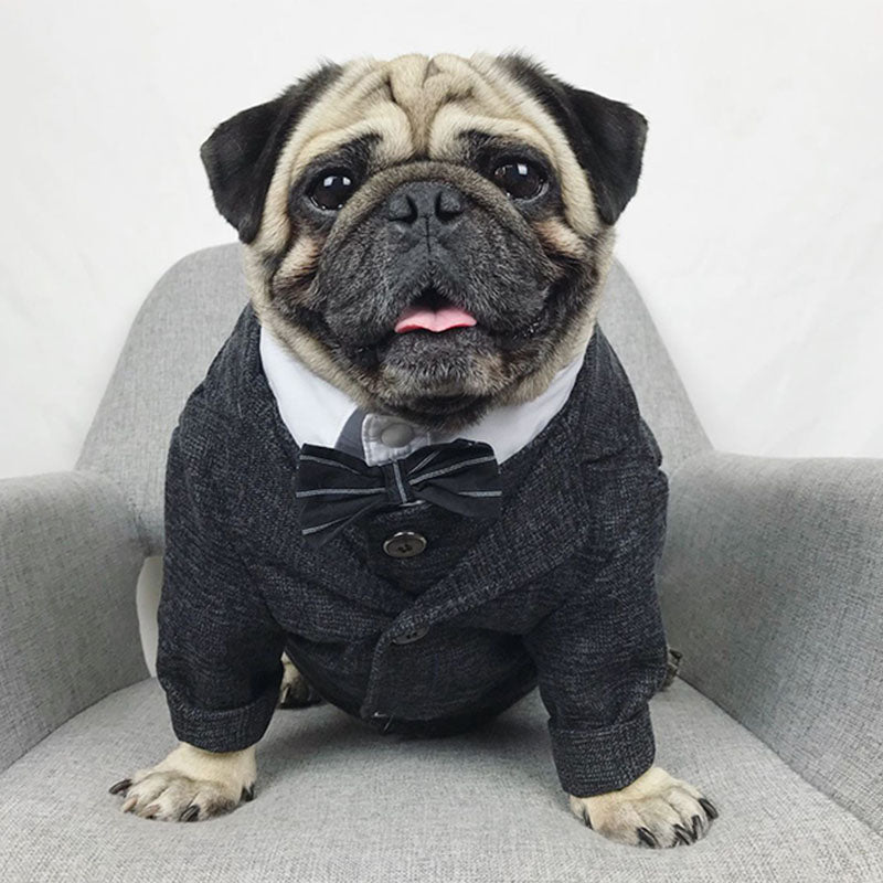 Boutique Pet Suit Vest
