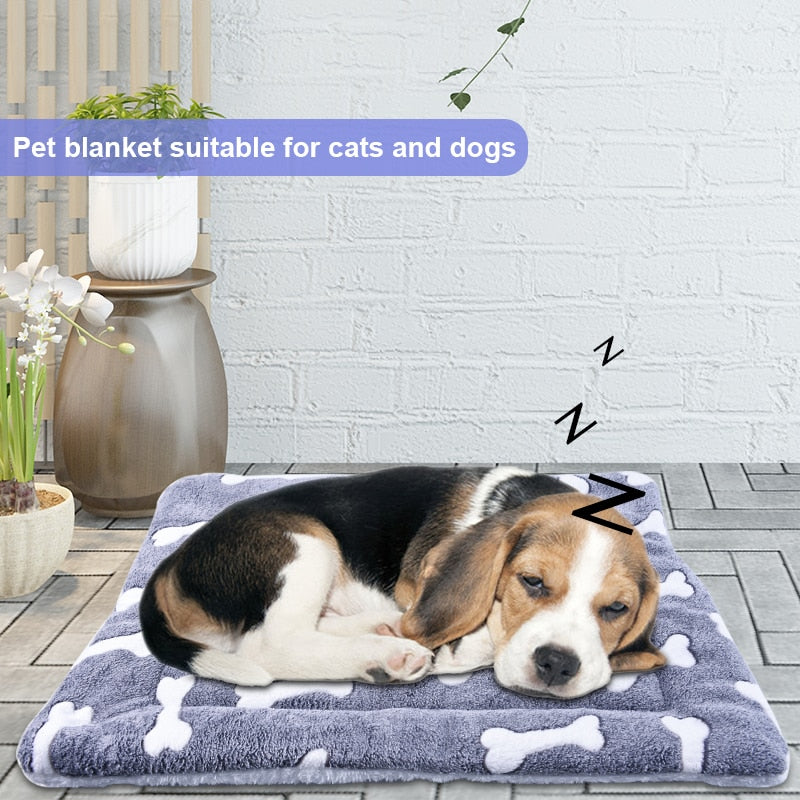 Dog Starry Blanket