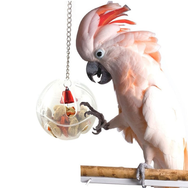 Parrots Bird Toys