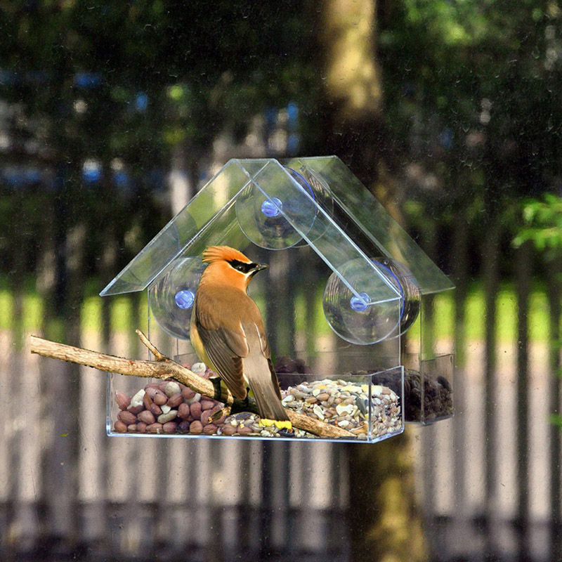 Acrylic Transparent Bird Feeder Window Viewing Bird Feeders