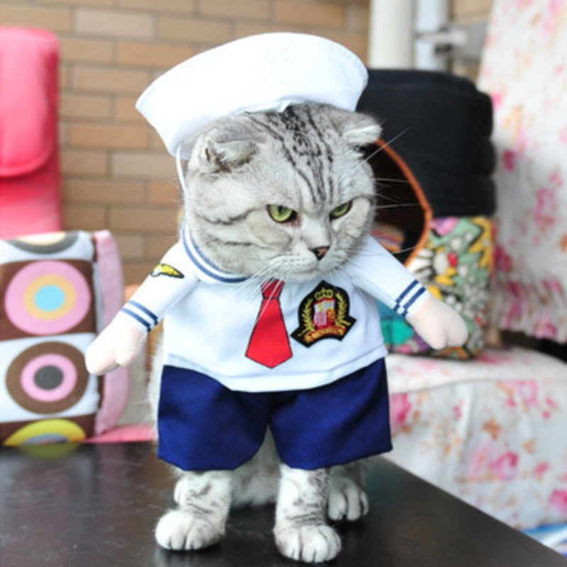 Funny Cat Party Suit