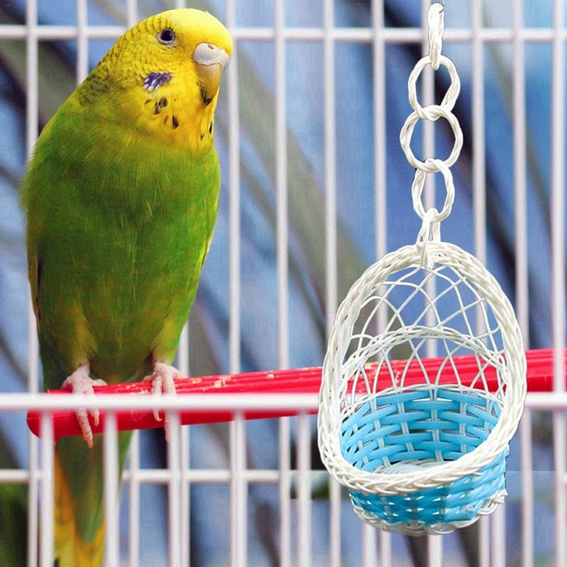Parrots Bird Toys