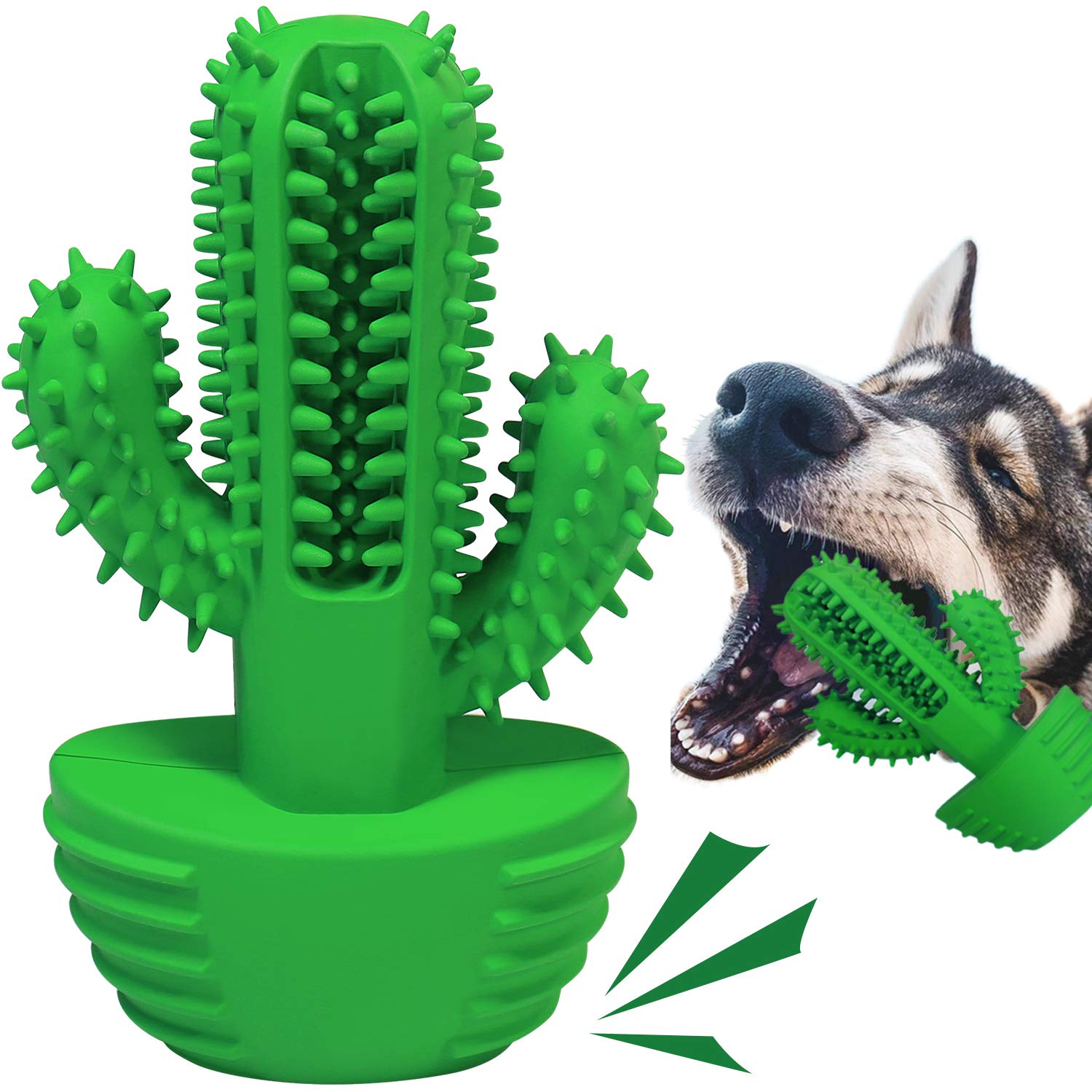 Cactus Shape Dog Rubber