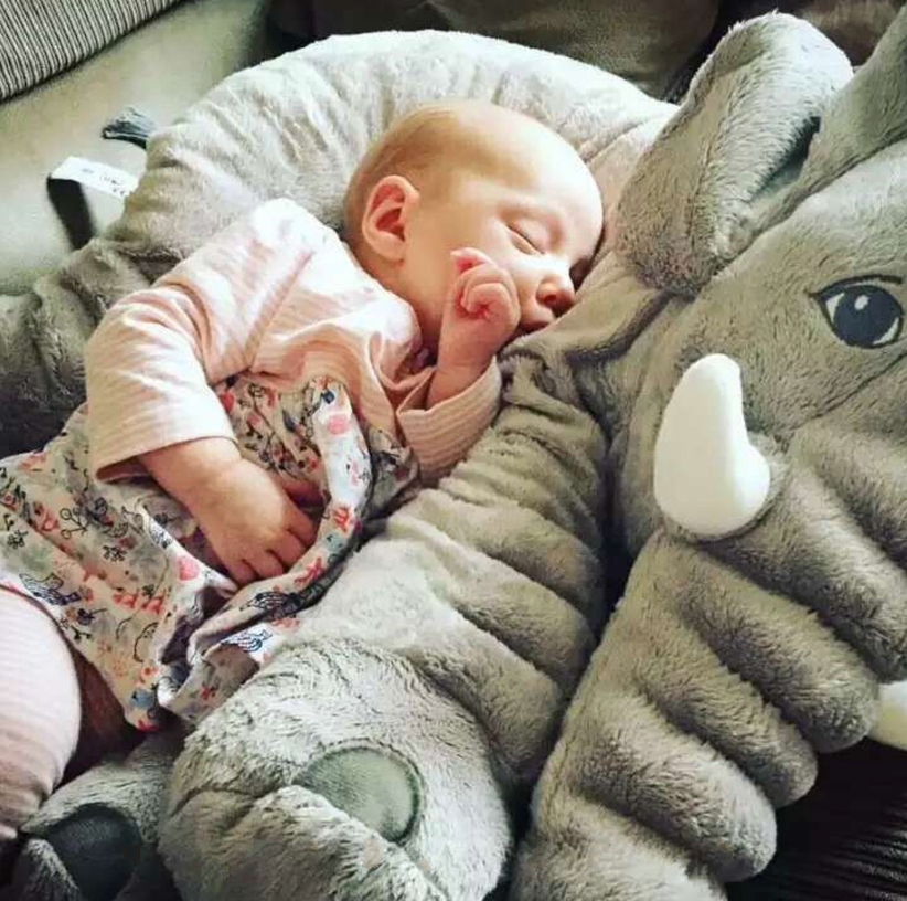 Baby Cushion Elephant