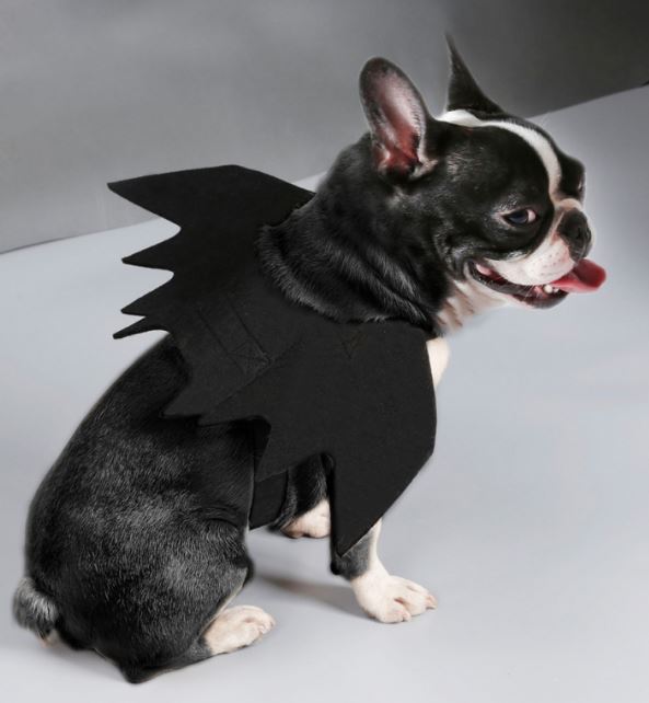 Pet Halloween Bat Wings