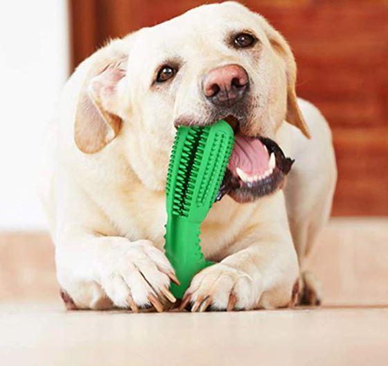 Silicone Dog Toothbrush & Toy