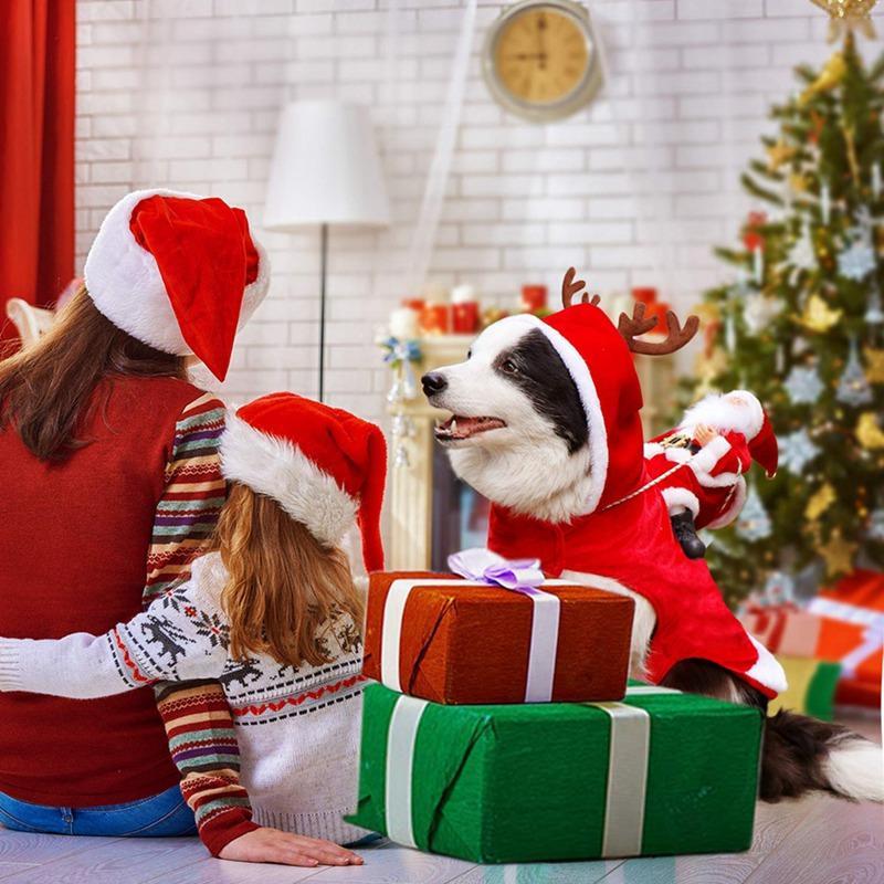 【Christmas sale-BUY 2 GET EXTRA 10% DISCOUNT】Christmas Dog Santa Party Costumes - ChoiceBird