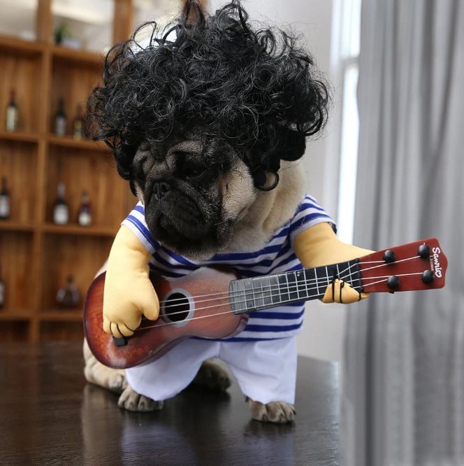 Dog Guitar Player Costume