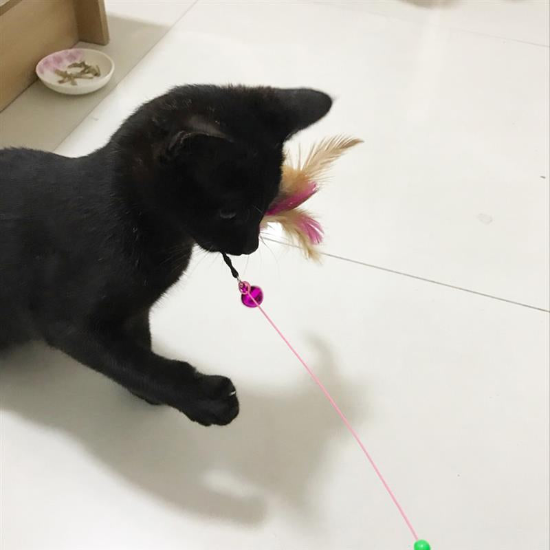 Cat Interactive Toy - ChoiceBird