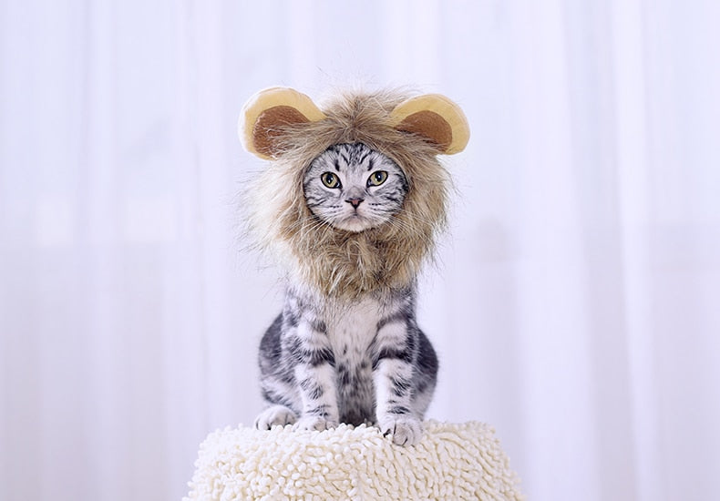 Special Lion Mane Cat Cap - ChoiceBird