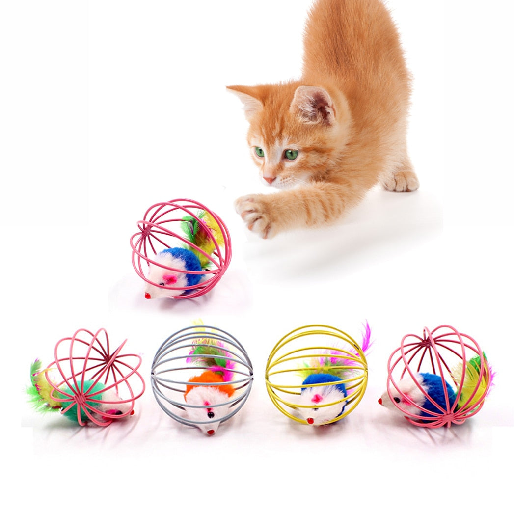 Cat Interactive Toy{VIP Gift}