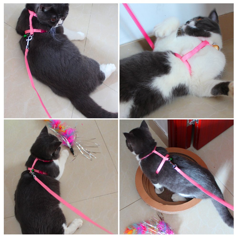 Adjustable Pet Cat Collar