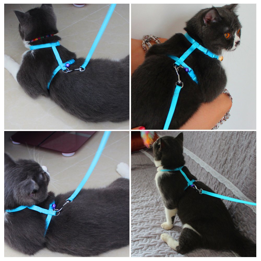 Adjustable Pet Cat Collar