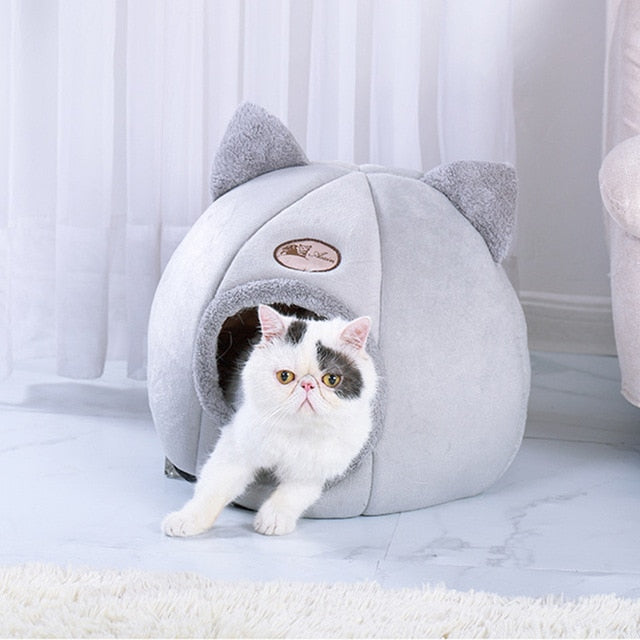 Foldable Cat Bed with free Cat Cushion