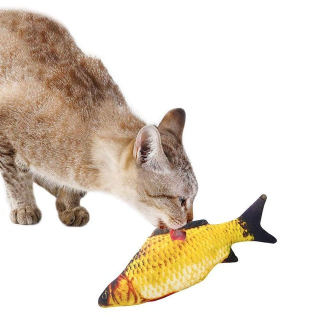 3D Cats Fish For Cat
