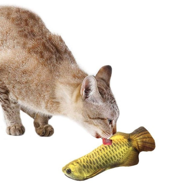3D Fish For Cat{VIP Gift}