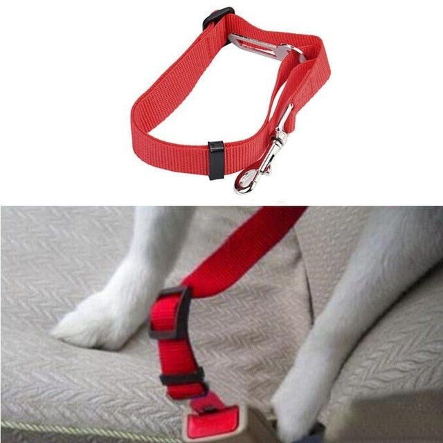 Dog Harness for Car Seat Belt Mascotas