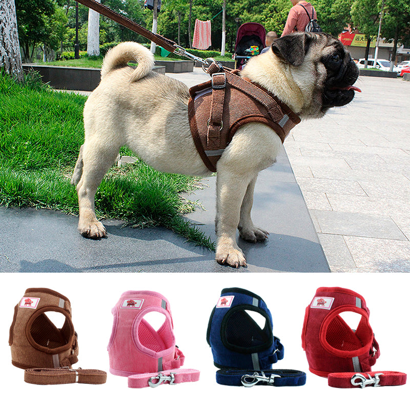 Breathable Dog Harness Collar - ChoiceBird